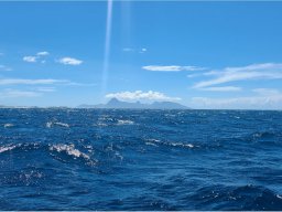 Mo'orea